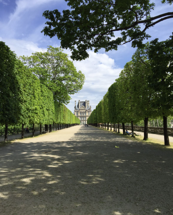 Jardin des Tuileries
